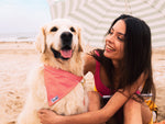 Bandana pour chien rayé rouge et blanc