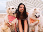 Bandana pour chien paisley jaune