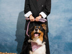 Laisse pour chien bleu blanc rouge