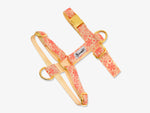 Harnais chat paisley jaune