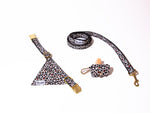 Kit Bandana + Laisse + Pochette sacs à crottes