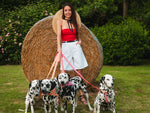 Laisse pour chien rayé rouge et blanc