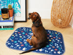 Lot de 2 tapis de propreté