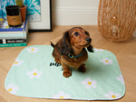 Lot de 2 tapis de propreté