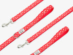 Laisse pour chien, rouge coquelicot