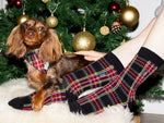 Le coffret matchy-matchy chien Oh My Lord