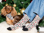 Le Coffret matchy-matchy chien Wild Wild Wouf