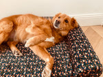 Le panier pour chien fruity