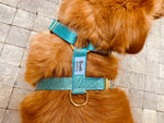 Harnais pour chien à paillettes