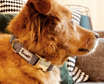 Collier pour chien motif marin