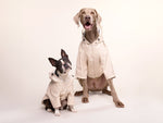 Imperméable pour chien crème