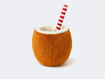 Jouet Coconut pour chien