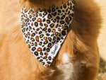 Bandana pour chien motif léopard