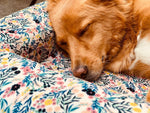Le panier chien Liberty