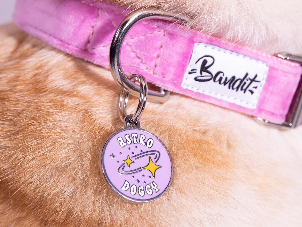 Médaille astrologie pour chien