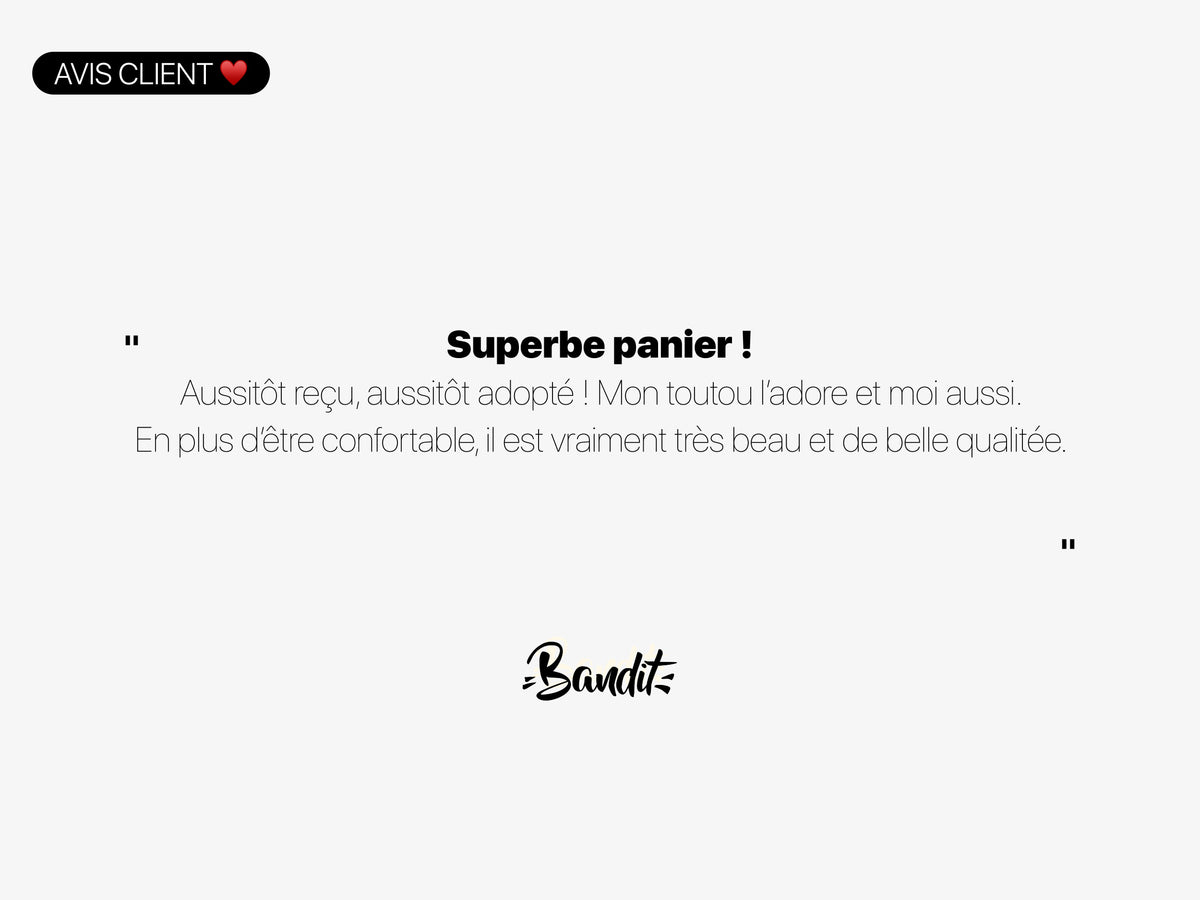 Le panier chien jungle