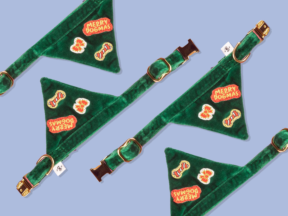 Bandana de Noël pour chat en velours vert