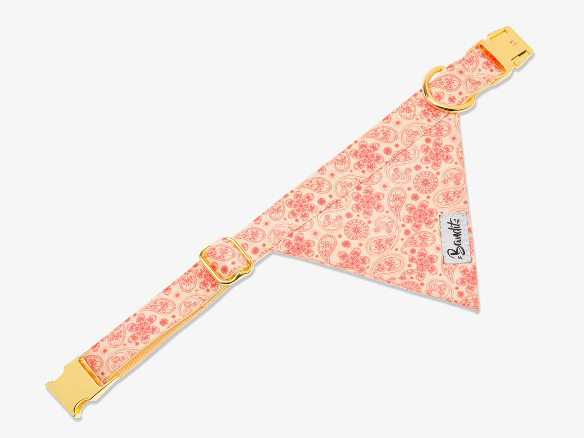 Kit Bandana + Laisse + Pochette sacs à crottes