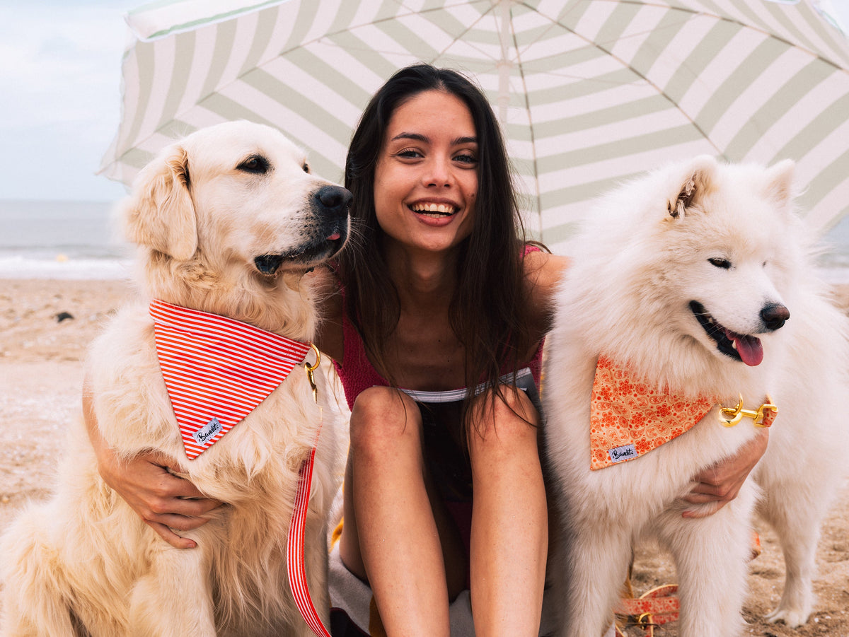 Bandana pour chien paisley jaune