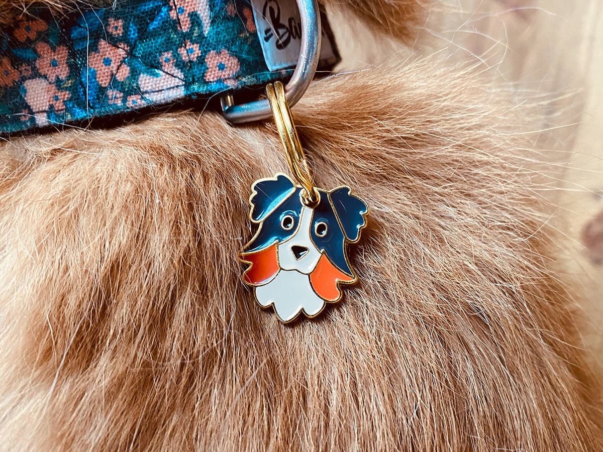 Médaille berger pour chien