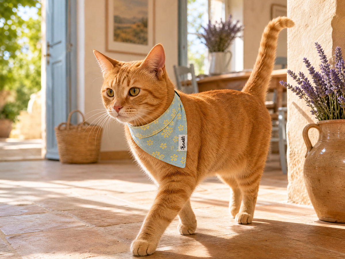 Bandana chat jean fleurs jaunes