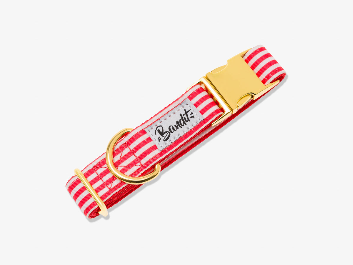 Collier chien rayé rouge et blanc