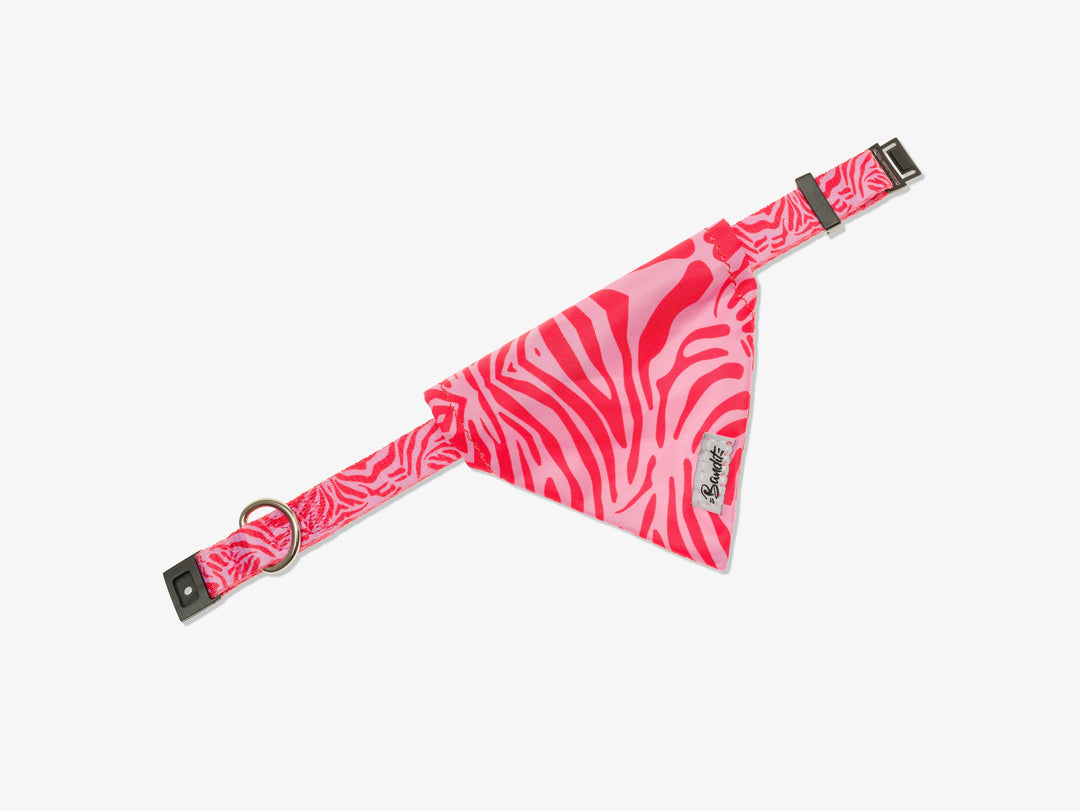 Bandana chat zebre rose