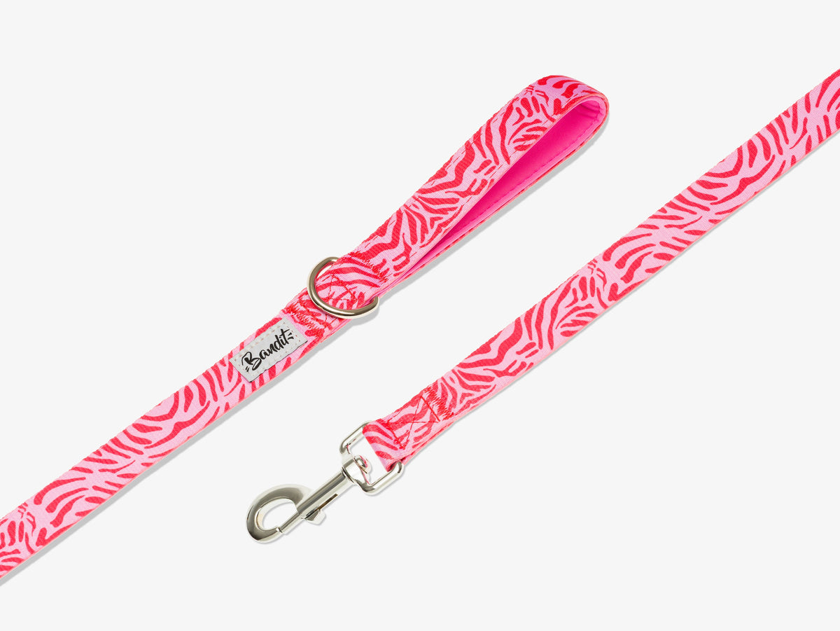 Laisse pour chien zebre rose