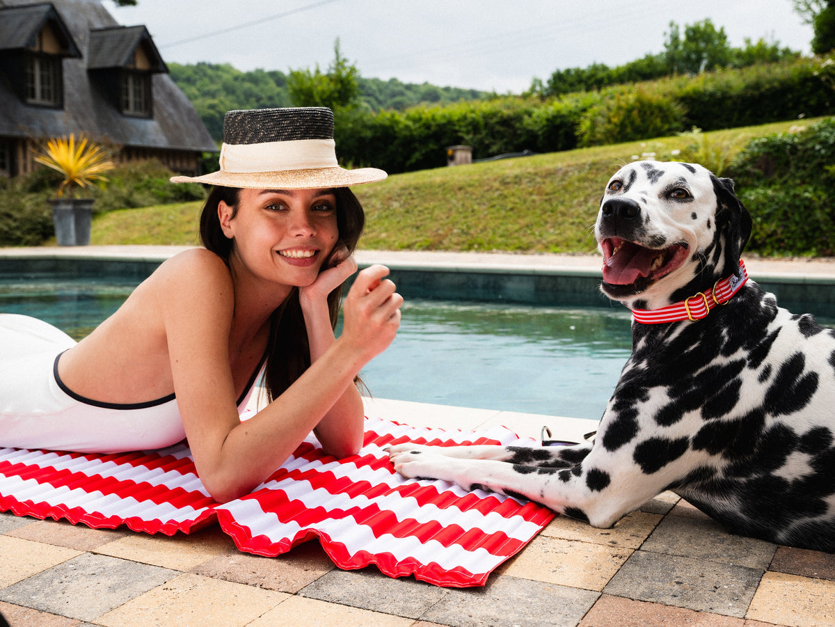 Collier chien rayé rouge et blanc
