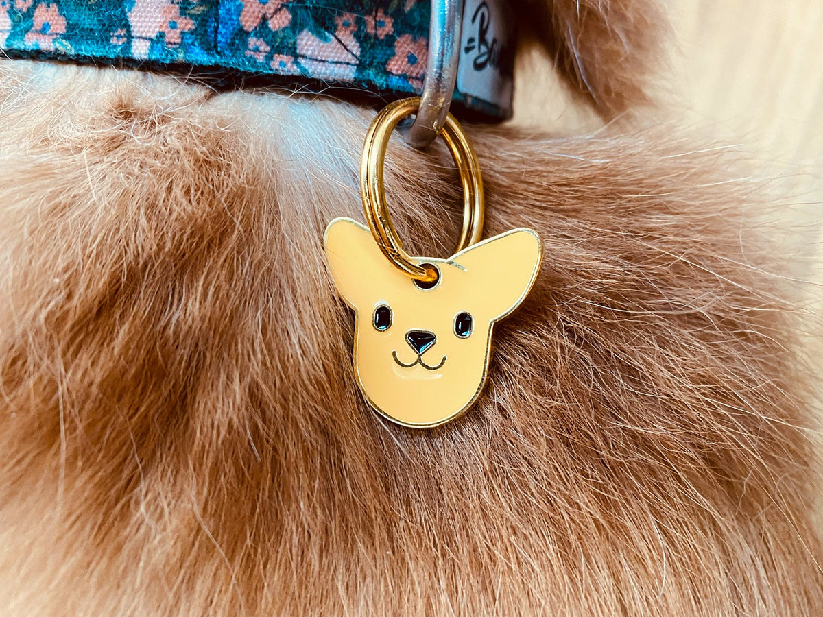 Médaille chihuahua pour chien