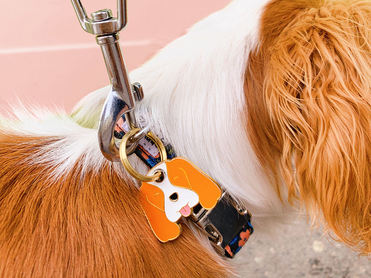 Médaille cavalier pour chien