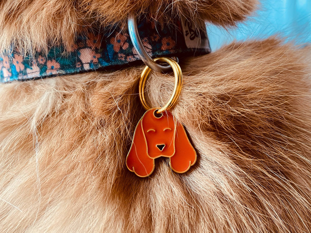 Médaille cocker pour chien