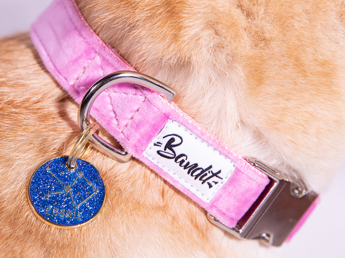 Médaille à paillettes pour chien