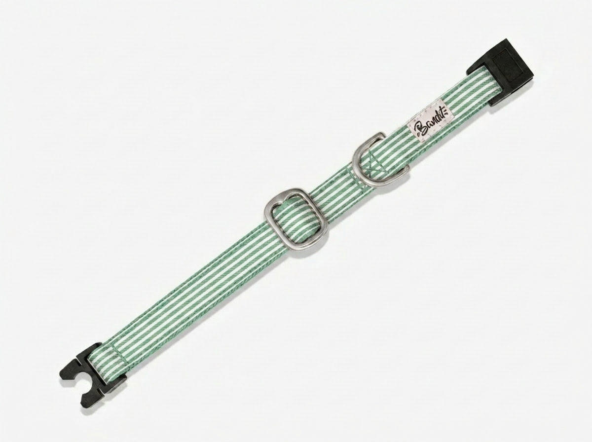Collier pour chat rayé vert et blanc