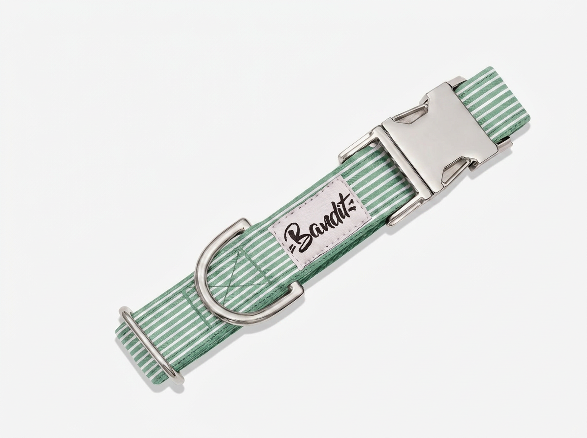 Collier chien rayé vert et blanc