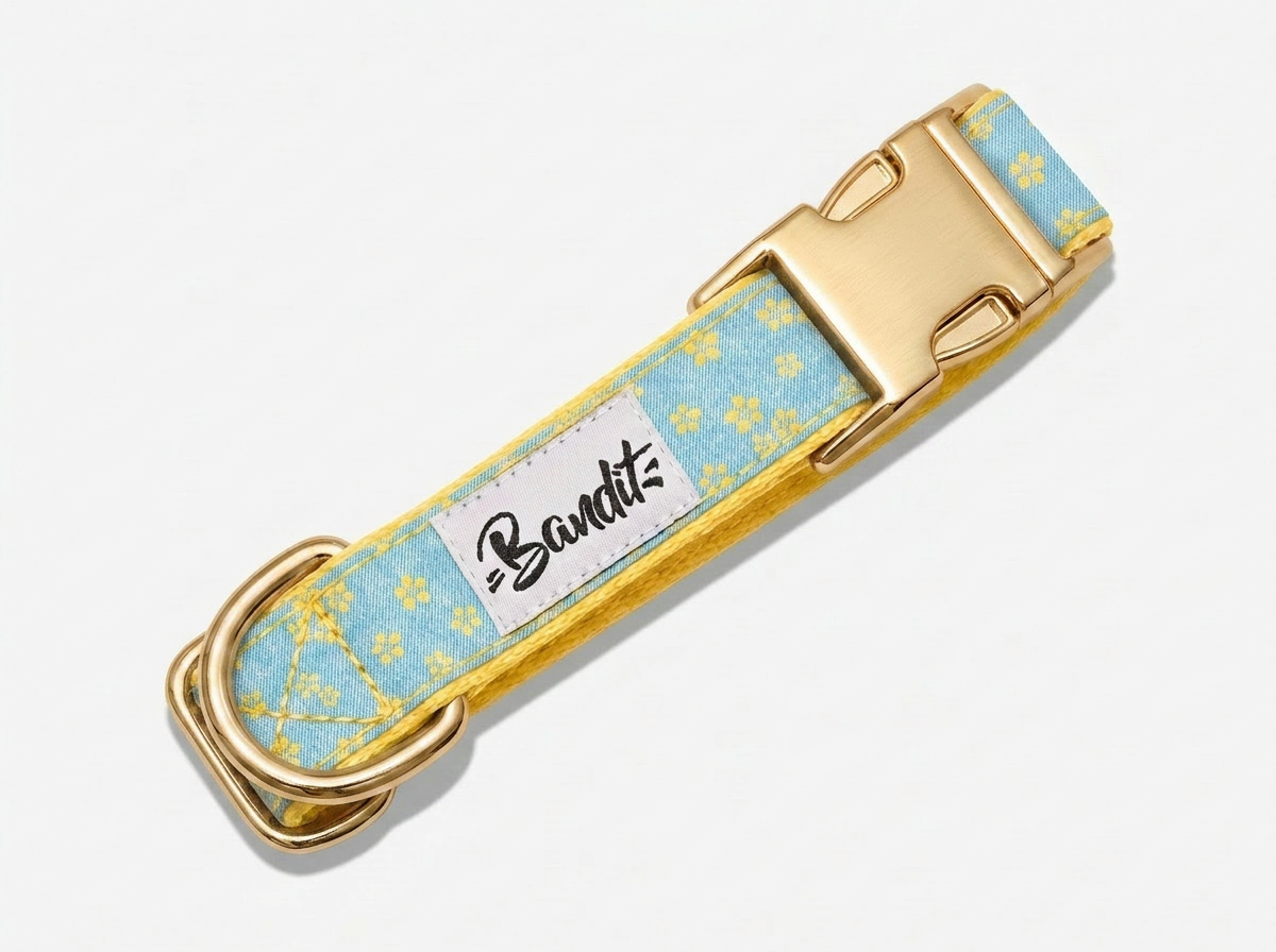 Collier chien jean fleurs jaunes