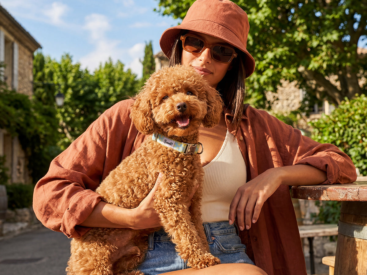 Collier chien jean fleurs jaunes