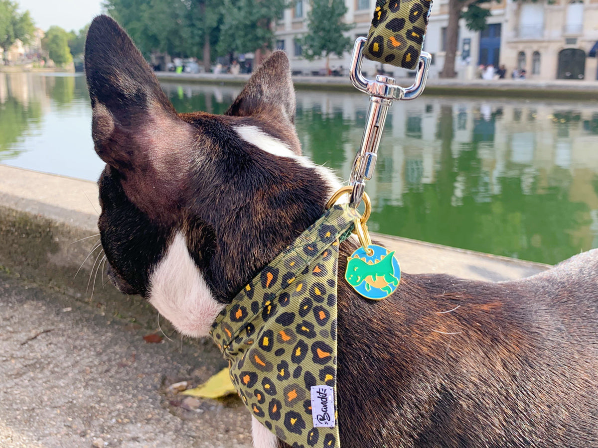 Médaille dinosaure pour chien