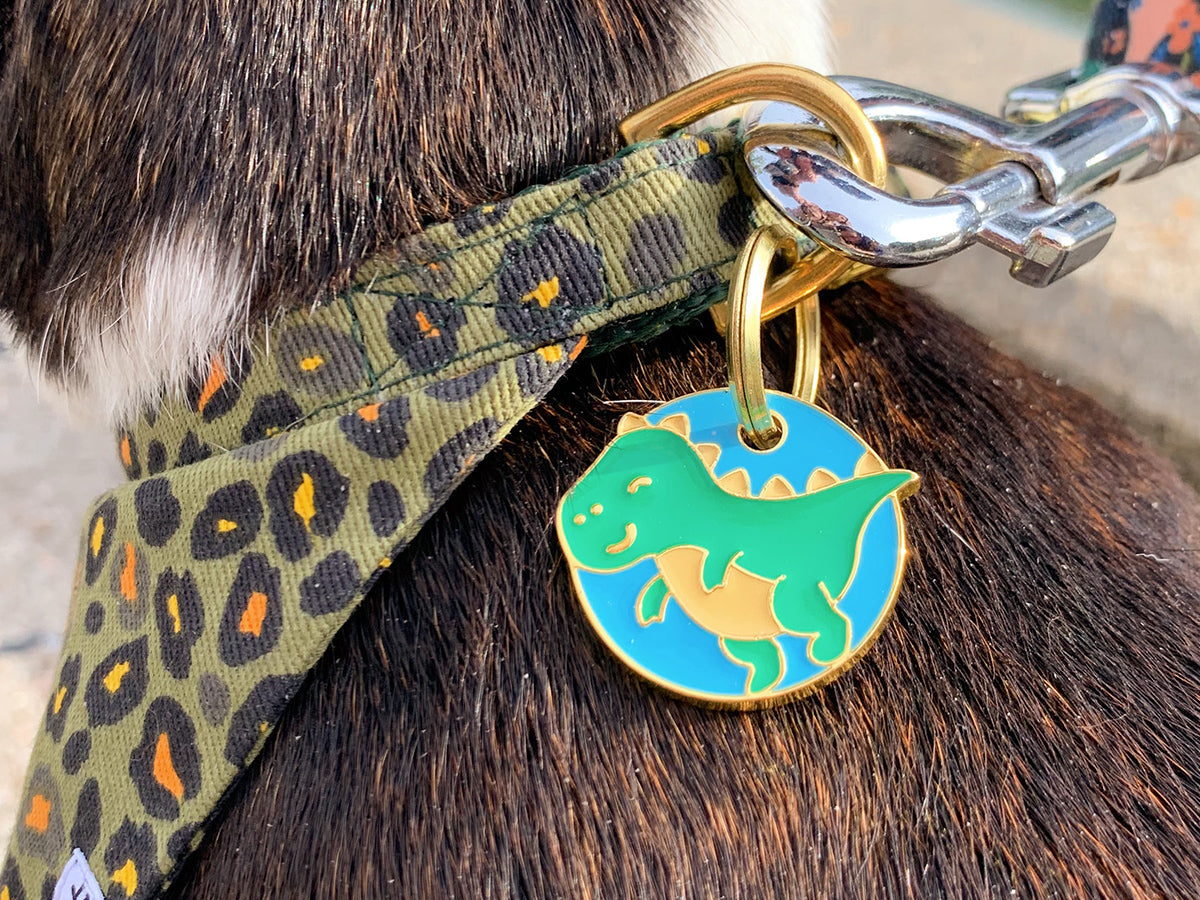 Médaille dinosaure pour chien