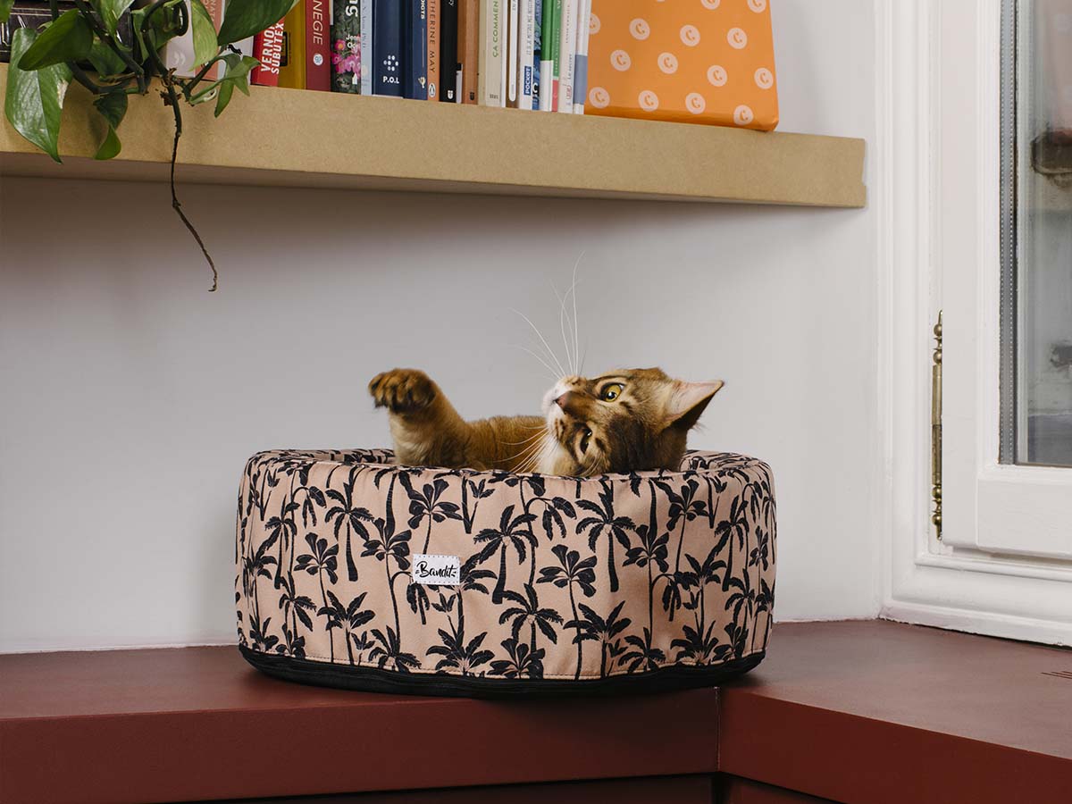Panier rond pour chat, motif Palmier