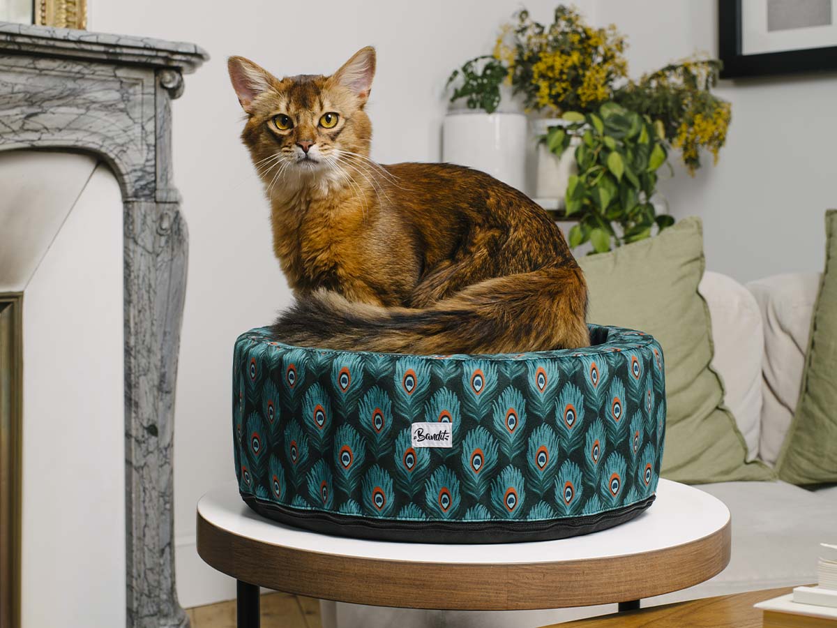 Panier rond pour chat, motif Plumes de paon