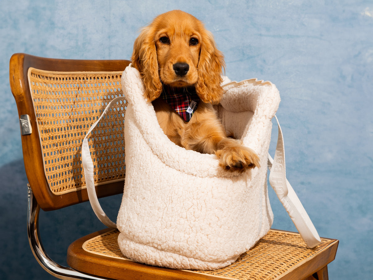Sac pour chien en sherpa