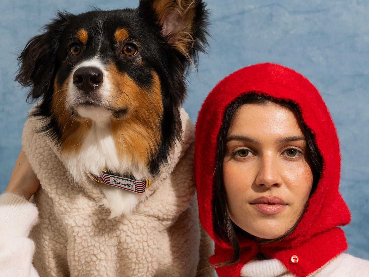 Hoodie en sherpa tout doux, pour chien