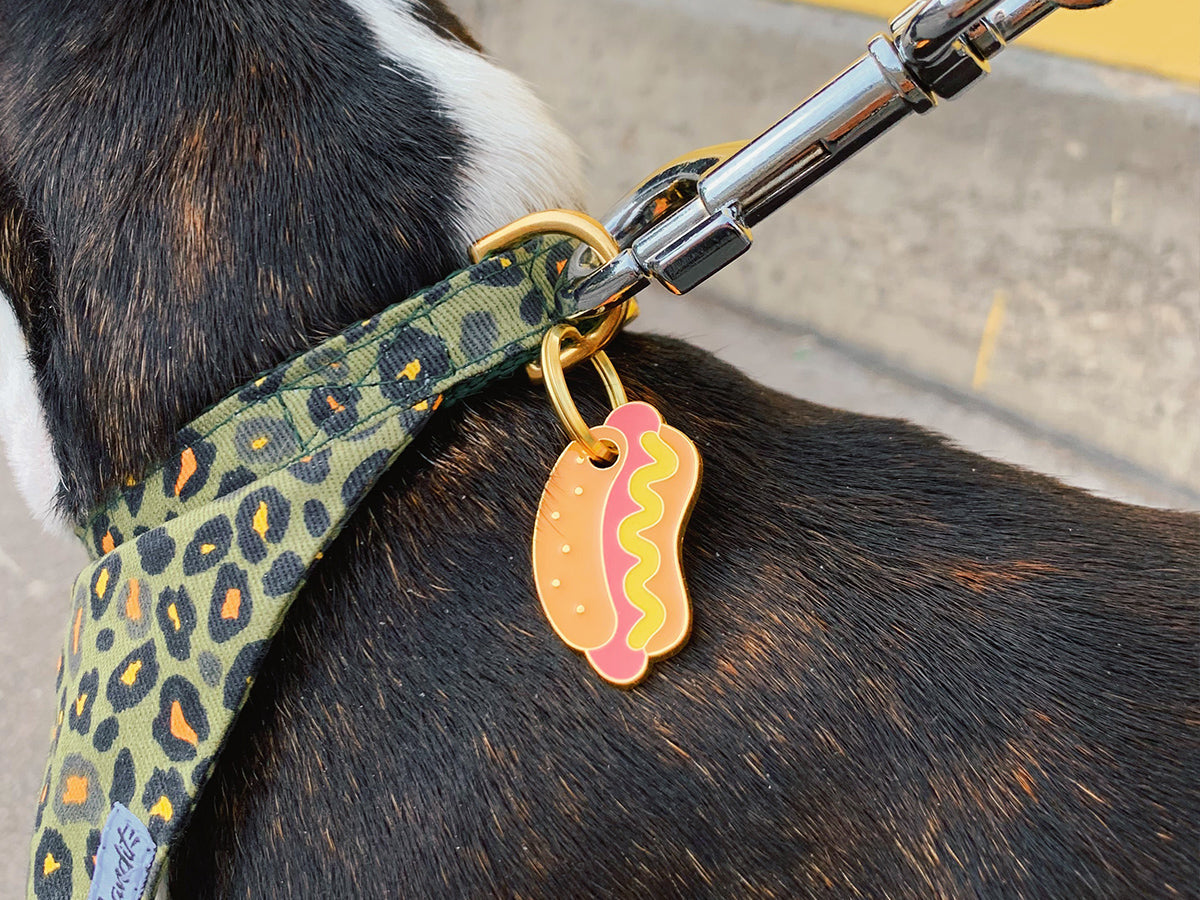 Médaille hot dog pour chien