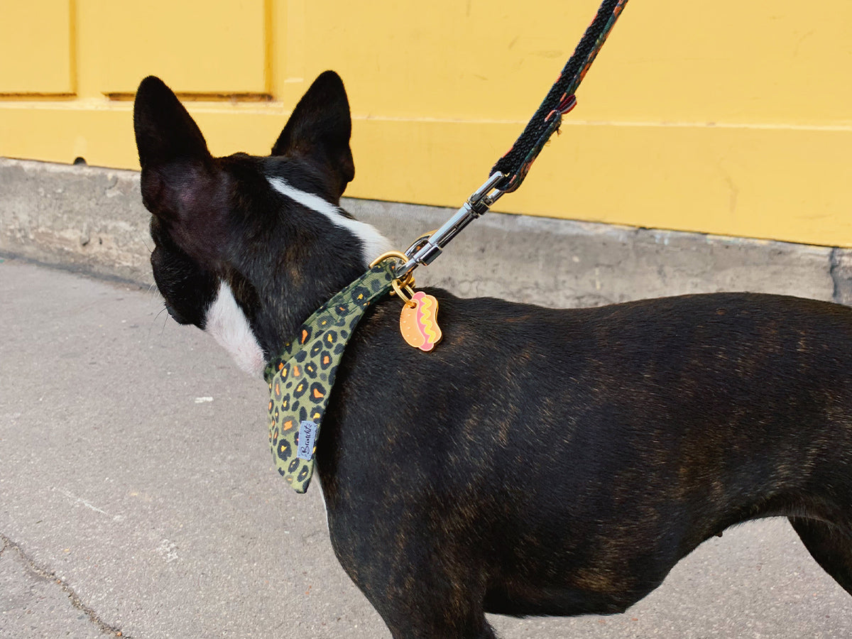Médaille hot dog pour chien