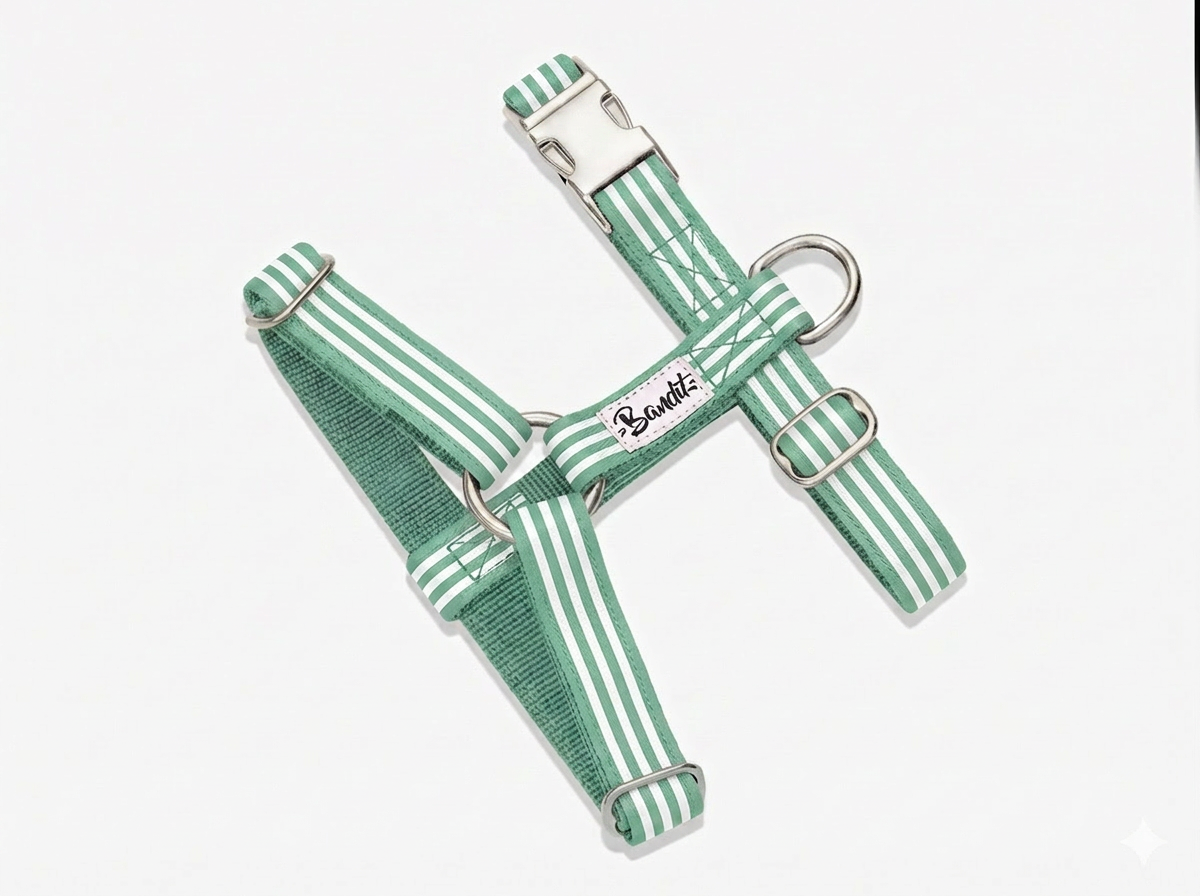 Harnais chien rayé vert et blanc
