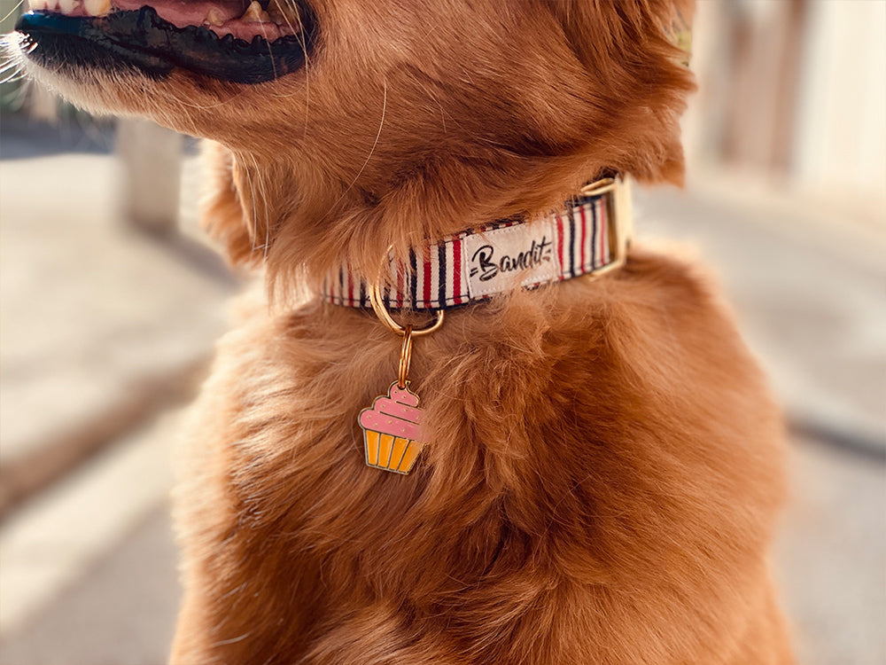 Médaille cupcake pour chien