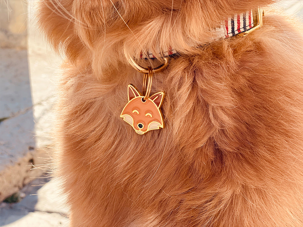 Médaille renard pour chien