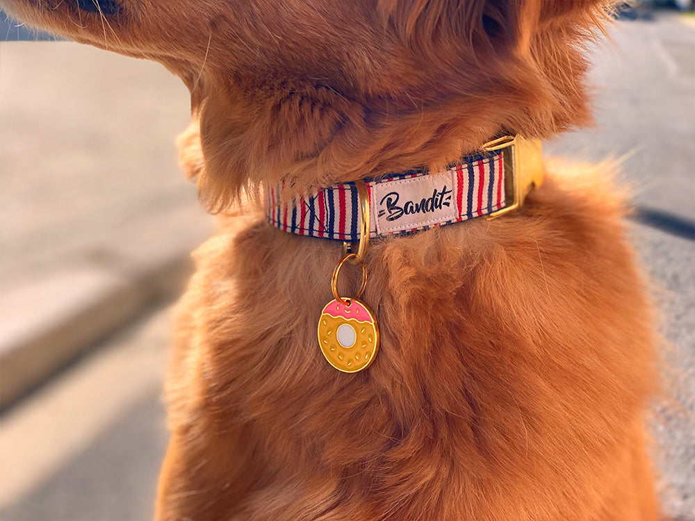 Médaille donut pour chien