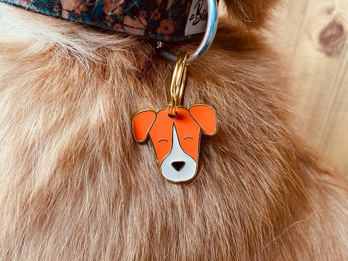 Médaille jack russel pour chien